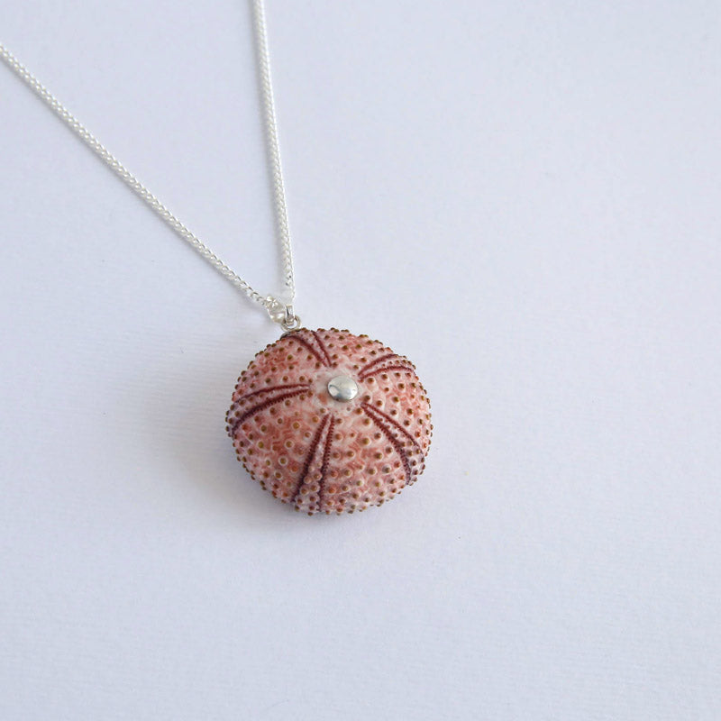 Medium Natural Pink Sea Urchin Pendant