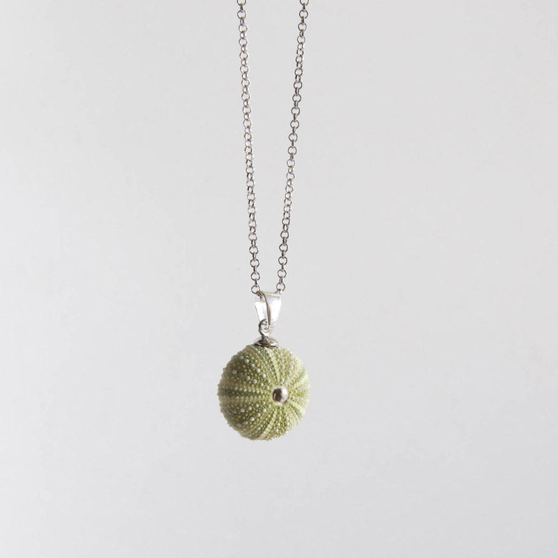 Small Natural Green Sea Urchin Pendant