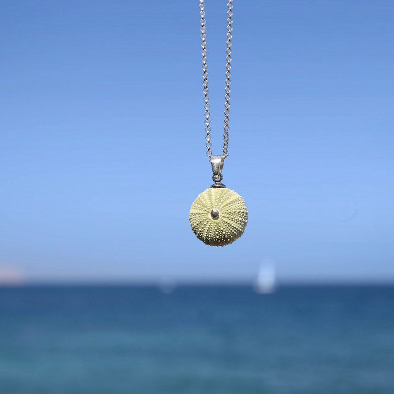 Colgante Erizo Verde Natural Pequeño