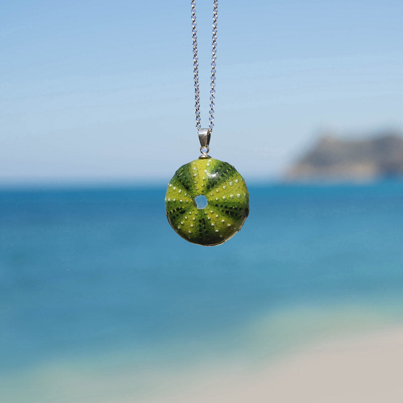 Colgante Erizo de mar Verde Mediano