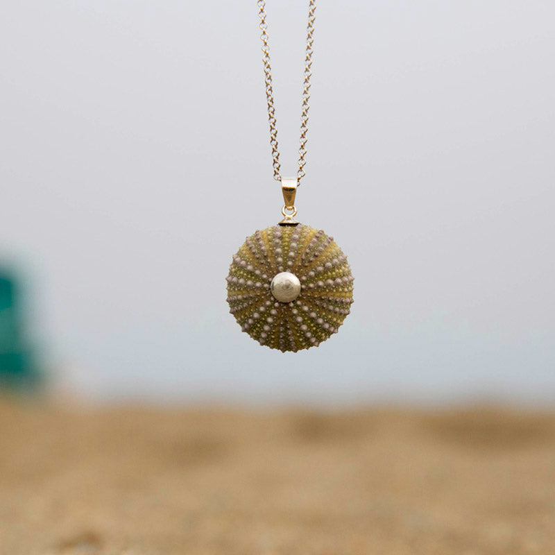 Medium Natural Green sea urchin Pendant